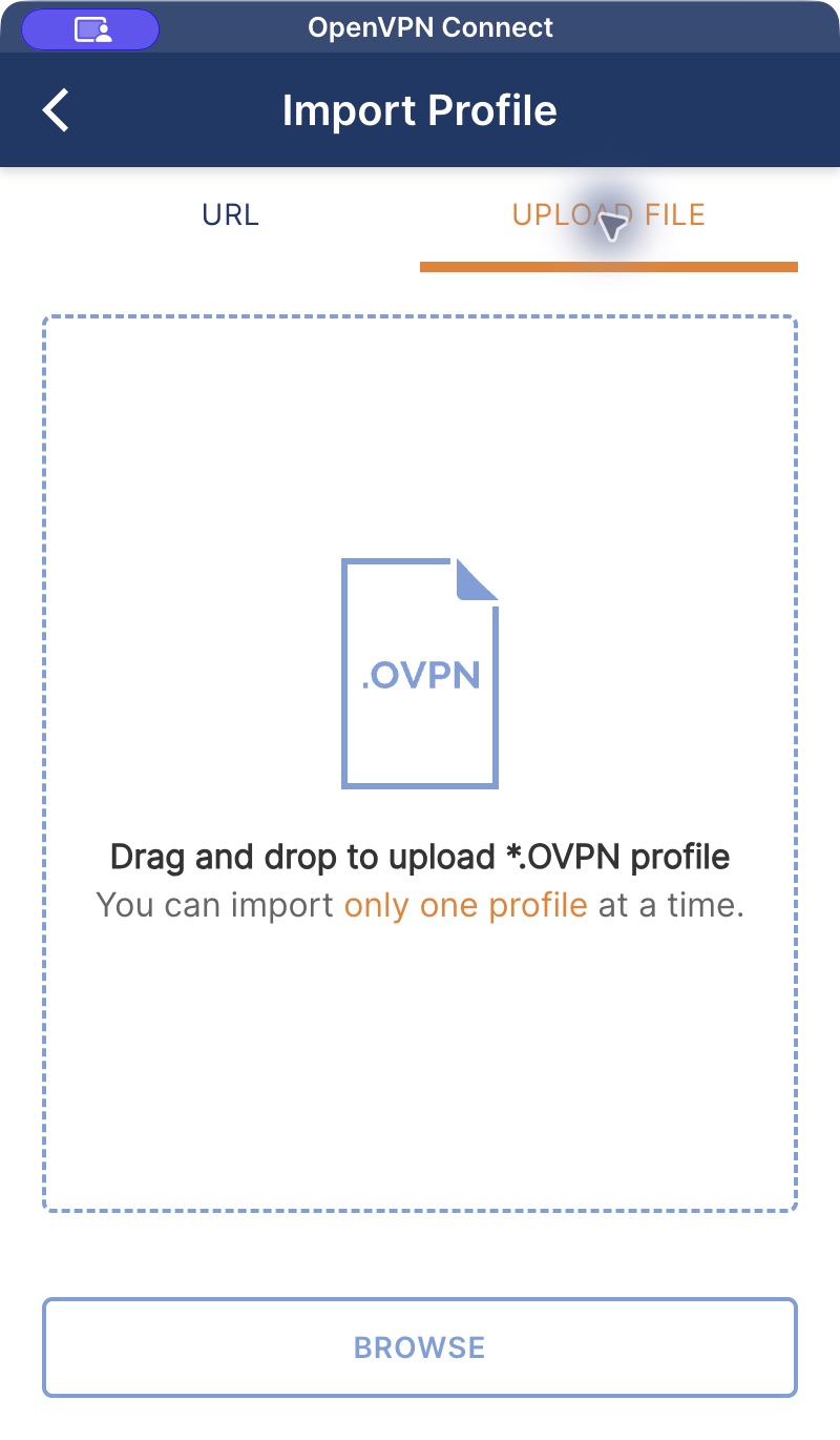 Màn hình thực tế OpenVPN Connect với Upload File và Browse