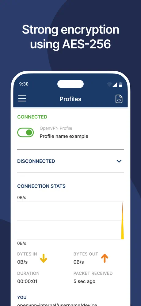 Ảnh minh họa công tắc kết nối và trạng thái Connected